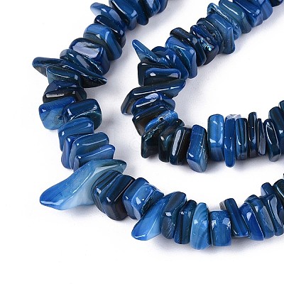 Natural Freshwater Shell Beads Strands SHEL-T020-40C-1