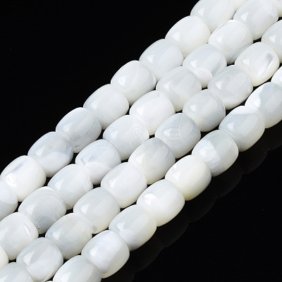 Natural Trochid Shell/Trochus Shell Beads Strands SSHEL-N034-121-B01-1