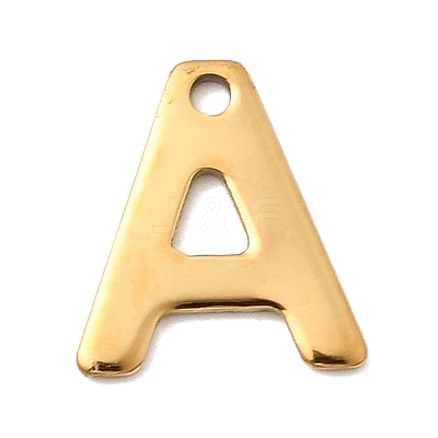 304 Stainless Steel Charms STAS-B093-12G-1