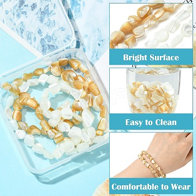 2 Strands 2 Colors Natural Shell Beads Strands SHEL-CJ0001-35-1