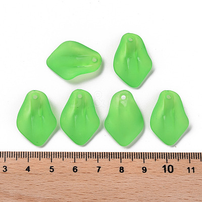Transparent Frosted Acrylic Pendants MACR-S371-03A-734-1
