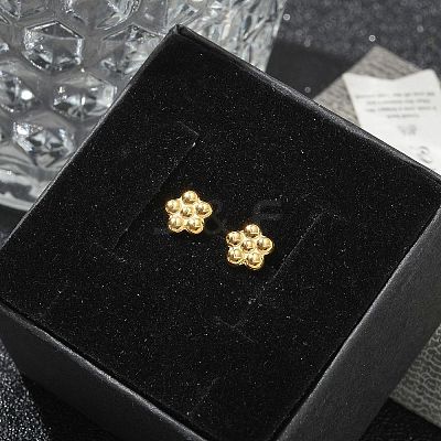 304 Stainless Steel Stud Earrings for Women LS-STAS-Z117-14G-05-1