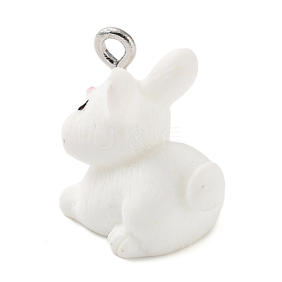 Opaque Resin Pendants RESI-Z014-01I-1