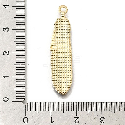 Alloy Enamel Pendants X-FIND-G078-34G-06-1