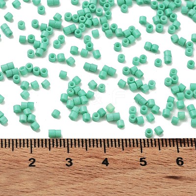Baking Paint Glass Seed Beads SEED-S042-05B-60-1