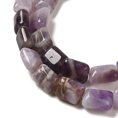 Natural Amethyst Beads Strands G-G085-A01-01-1