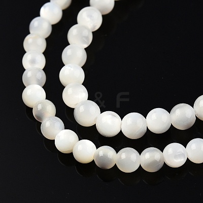 Natural White Shell Bead Strands X-SSHEL-N003-144C-01-1