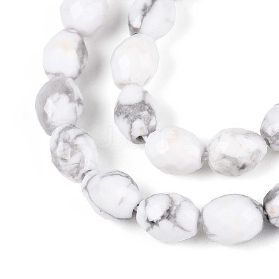 Natural Howlite Beads Strands G-T142-79-1