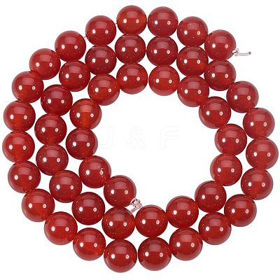 Natural Carnelian Bead Strands G-PH0028-8mm-15-1