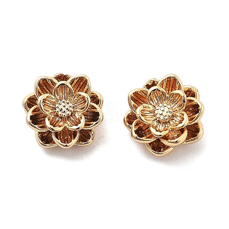Brass Charms X-KK-L222-002G-1