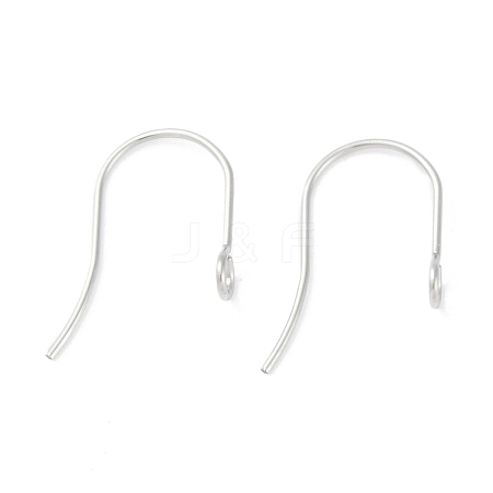 Tarnish Resistant 316 Surgical Stainless Steel Earring Hooks X-STAS-P162-13P-B01-1