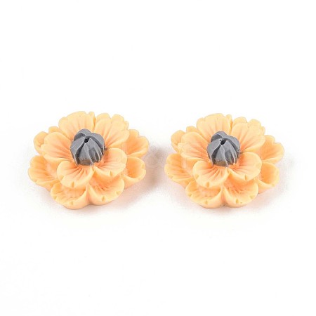 Resin Decoden Cabochons CRES-T025-04B-1