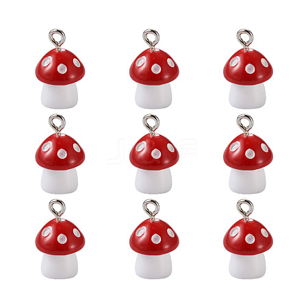 Plastic Pendants KY-TA0001-15E-1