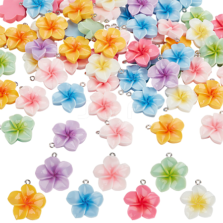 60Pcs Opaque Resin Pendants RESI-ME0001-43-1