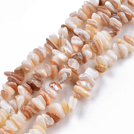 Natural Freshwater Shell Beads Strands SHEL-N026-210-1