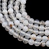 Natural Dendritic Agate Beads Strands G-D0005-18-6mm-7