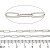304 Stainless Steel Paperclip Chains STAS-F260-04P-3