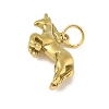 304 Stainless Steel Pendants LS-STAS-P391-01L-G-2