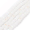 Electroplate Glass Beads Strands EGLA-A044-J8mm-L05-1