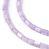 Natural Freshwater Shell Dyed Beads Strands SHEL-M018-12-11-3