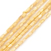 Natural Freshwater Shell Dyed Beads Strands X-SHEL-M018-12-01-1