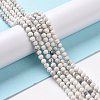 Natural Howlite Beads Strands G-H273-02C-3