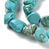 Dyed Natural Turquoise Beads Strands G-P497-01C-17-4