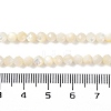 Natural White Shell Beads Strands SSHEL-E571-38A-4mm-5