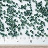MIYUKI Delica Beads SEED-X0054-DB0276-4