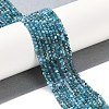 Natural Apatite Beads Strands G-P542-A01-02-2