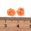 Cartoon Transparent Resin Cabochons CRES-R459-01H-3