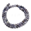 Natural Iolite Beads Strands G-G300-A04-6mm-3