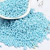 Baking Paint Glass Seed Beads SEED-A033-05P-1