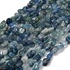 Natural Kyanite/Cyanite/Disthene Beads Strands G-NH0072-D03-01-2