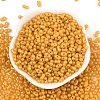 Baking Paint Glass Seed Beads SEED-L011-09A-22-2