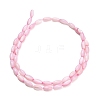 Natural Freshwater Shell Beads Strands SHEL-C010-01E-3