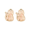 Alloy Enamel Pendants AL-CBA4E99-01G-A-1