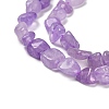 Natural Amethyst(Dyed & Heated) Beads Strands G-P497-01E-22-4