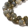 Natural Labradorite Beads Strands G-P508-A20-01-4