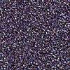MIYUKI Delica Beads SEED-X0054-DB1244-3