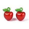 Korea Acrylic Pendants LS-X-OACR-L009-H02-1
