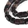 Natural Biotite Beads Strands G-T140-39A-3