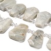 Natural Grey Moonstone Beads Strands G-H078-A07-01-3