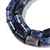 Natural Blue Spot Jasper Beads Strands G-C128-A27-01-3