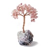 Natural Rose Quartz Tree Display Decoration DJEW-G027-10RG-04-2
