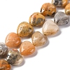 Natural Crazy Agate Beads Strands G-I372-A08-01-1