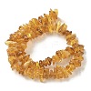 Natural Amber Beads Strands G-L095-D01-06-3