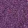 TOHO Round Seed Beads SEED-XTR08-0205-2