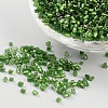 11/0 Two Cut Glass Seed Beads X-CSDB27-1