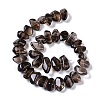 Natural Smoky Quartz Beads Strands G-B072-C01-03-4